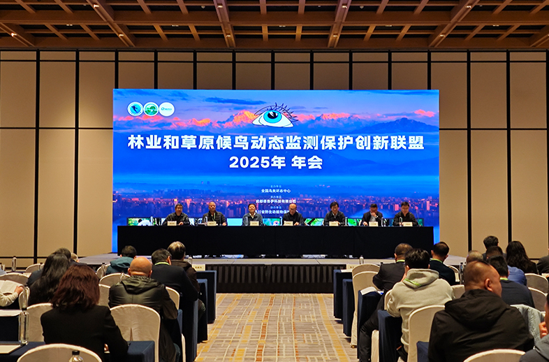 優威視訊受邀參加林業和草原候鳥動態監測保護創新聯盟2025年年會，以智能科技助力候鳥保護新篇章